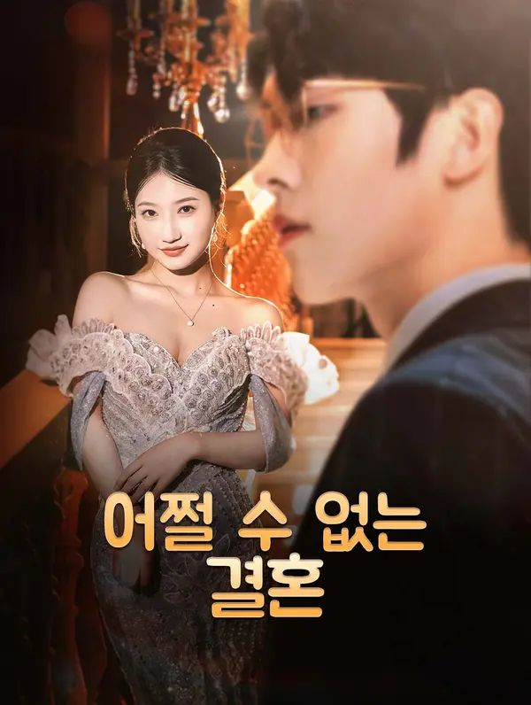 Poster 어쩔 수 없는 결혼