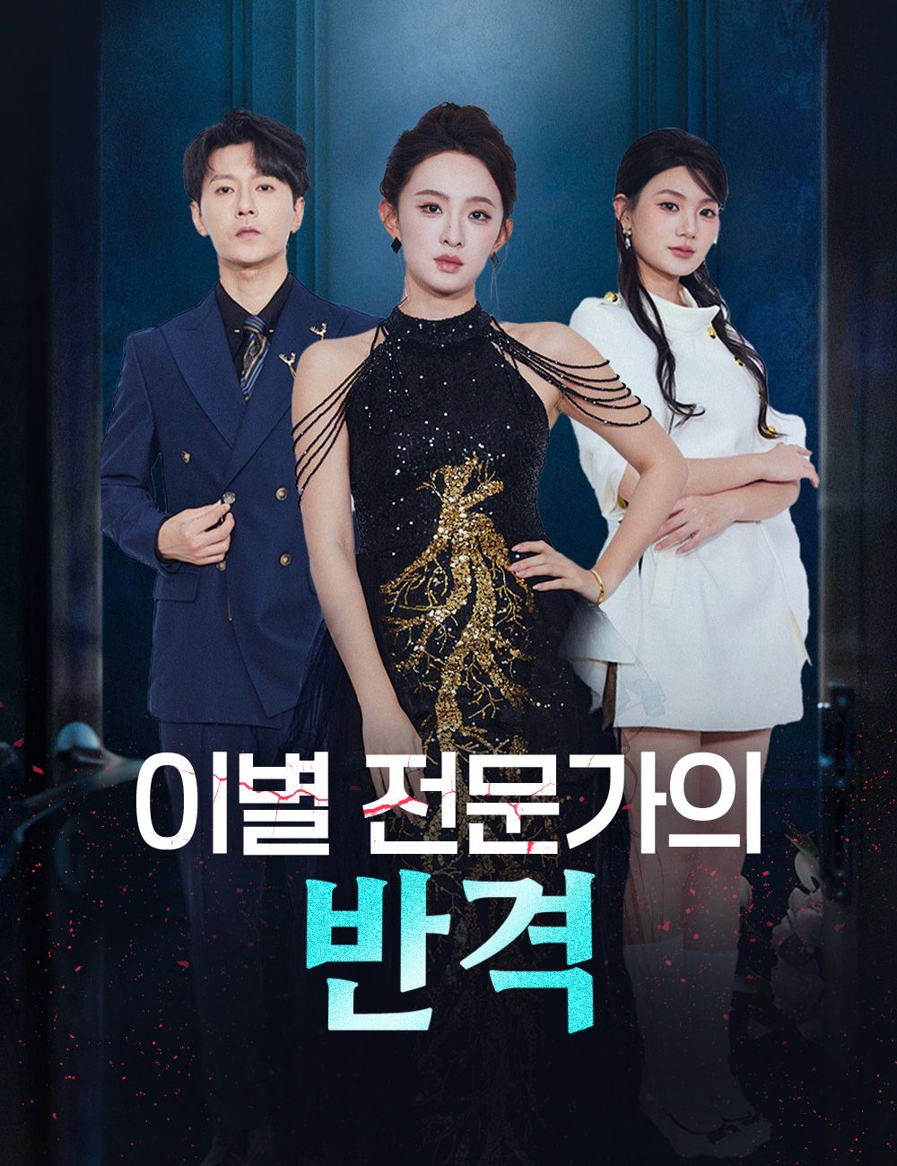 Poster 이별 전문가의 반격
