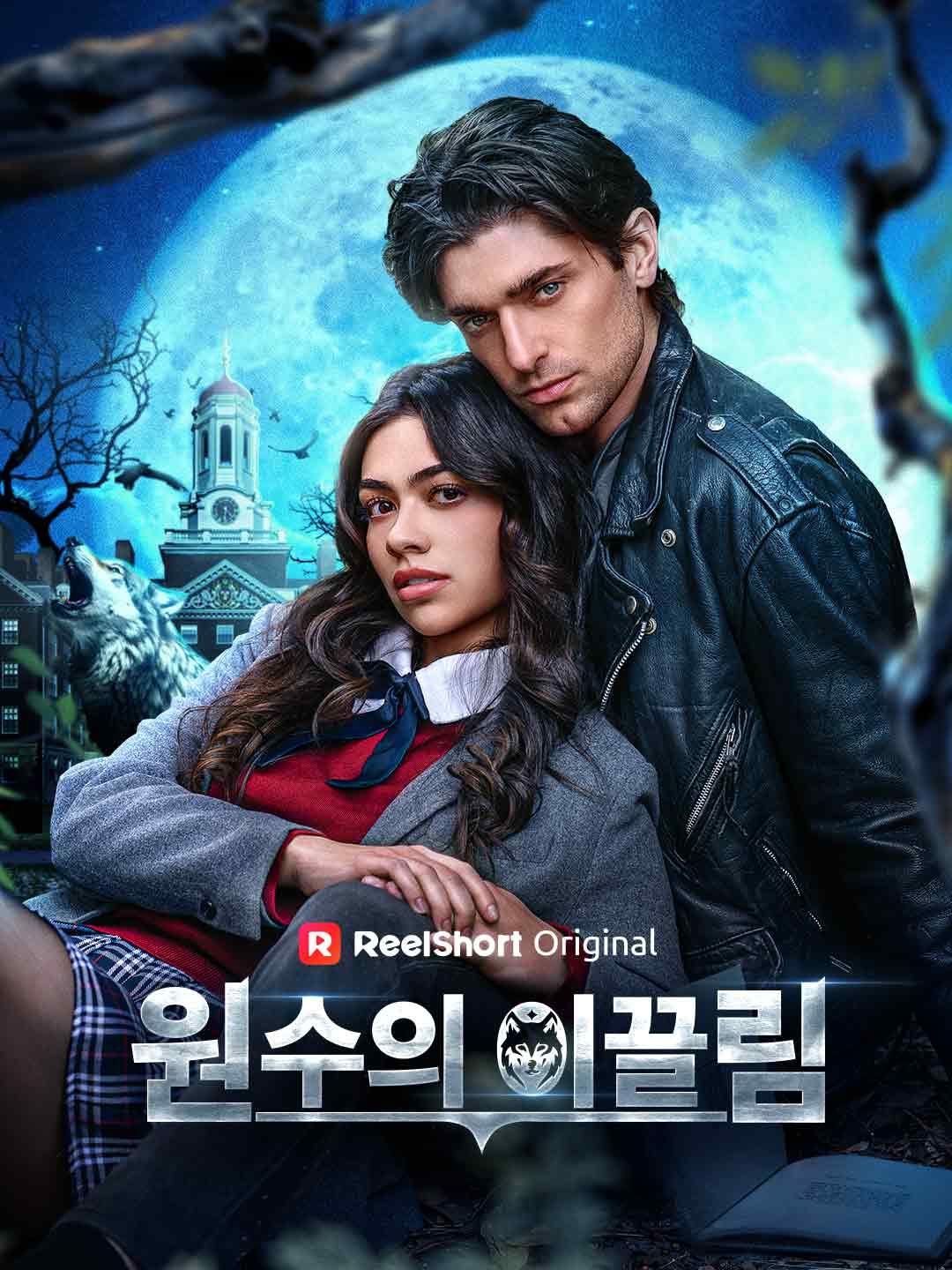 Poster 원수의 이끌림