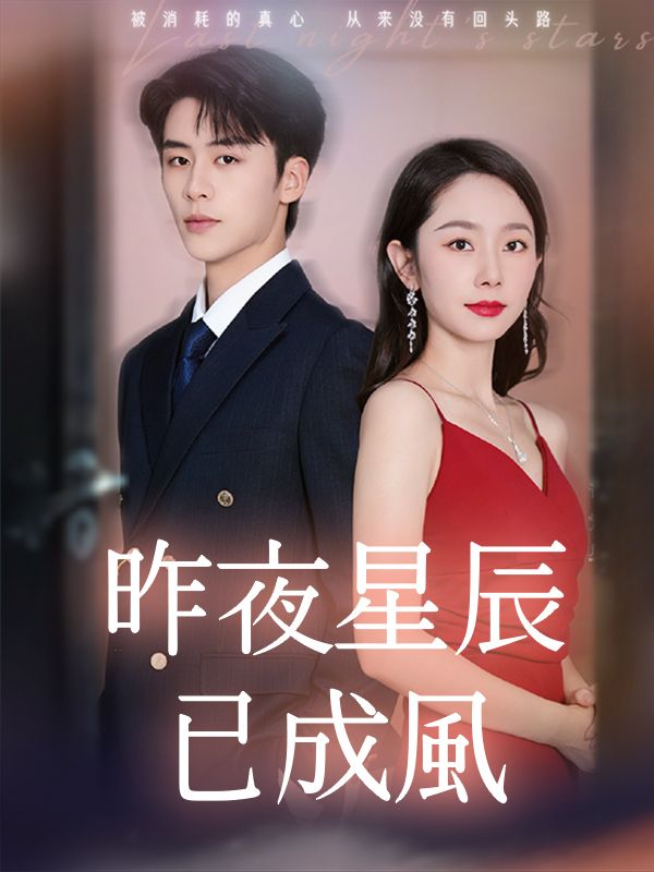 Poster 昨夜星辰已成風