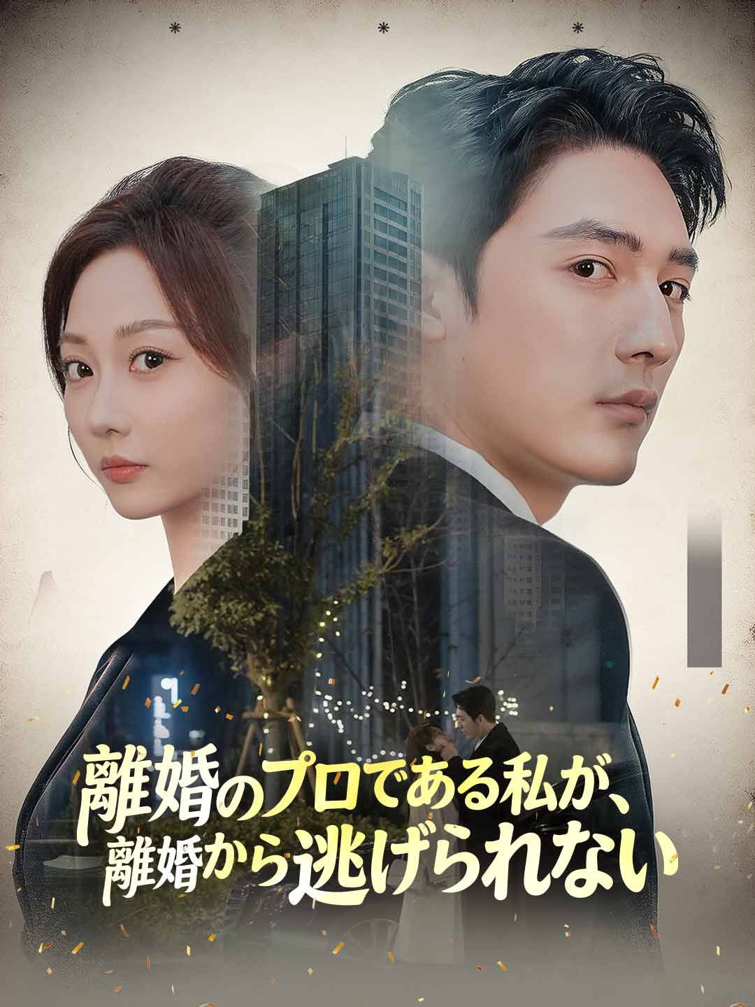 Poster [吹き替え版]離婚のプロである私が、離婚から逃げられない
