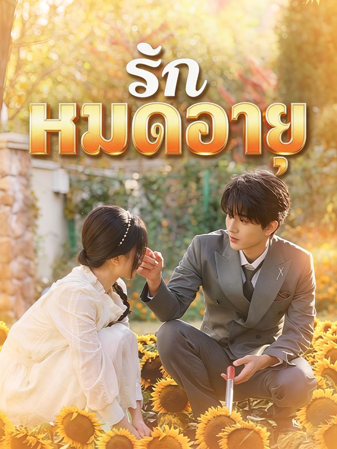 Poster รักหมดอายุ