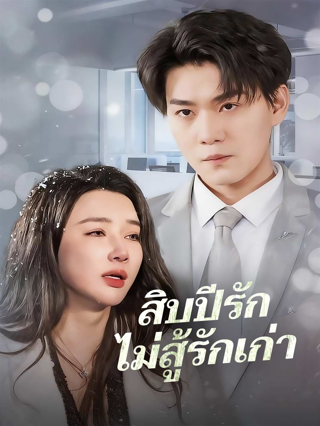 Poster (พากย์) สิบปีรักไม่สู้รักเก่า