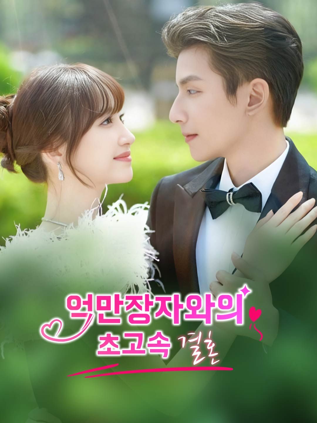 Poster 억만장자와의 초고속 결혼