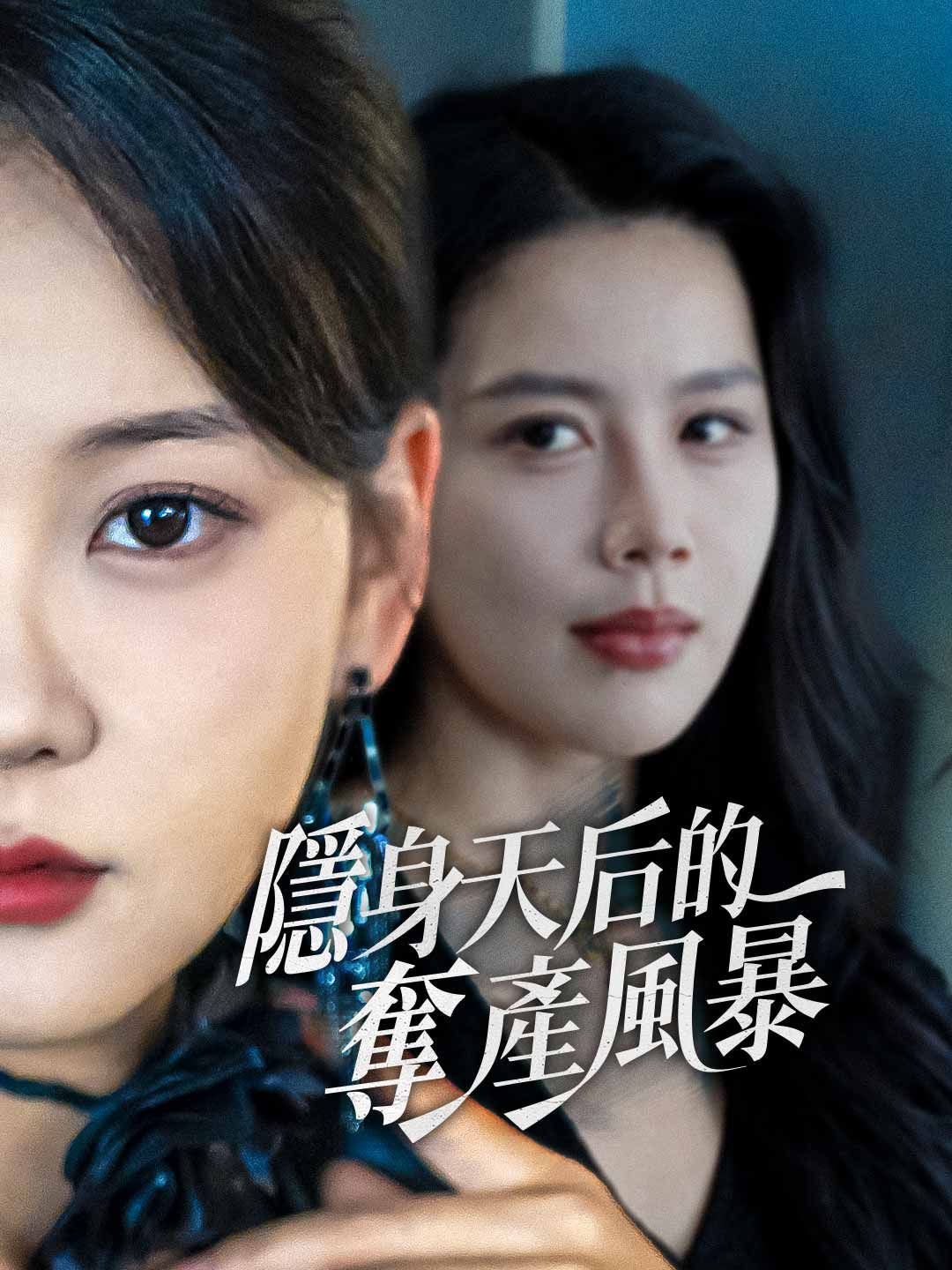 Poster 隱身天后的奪產風暴