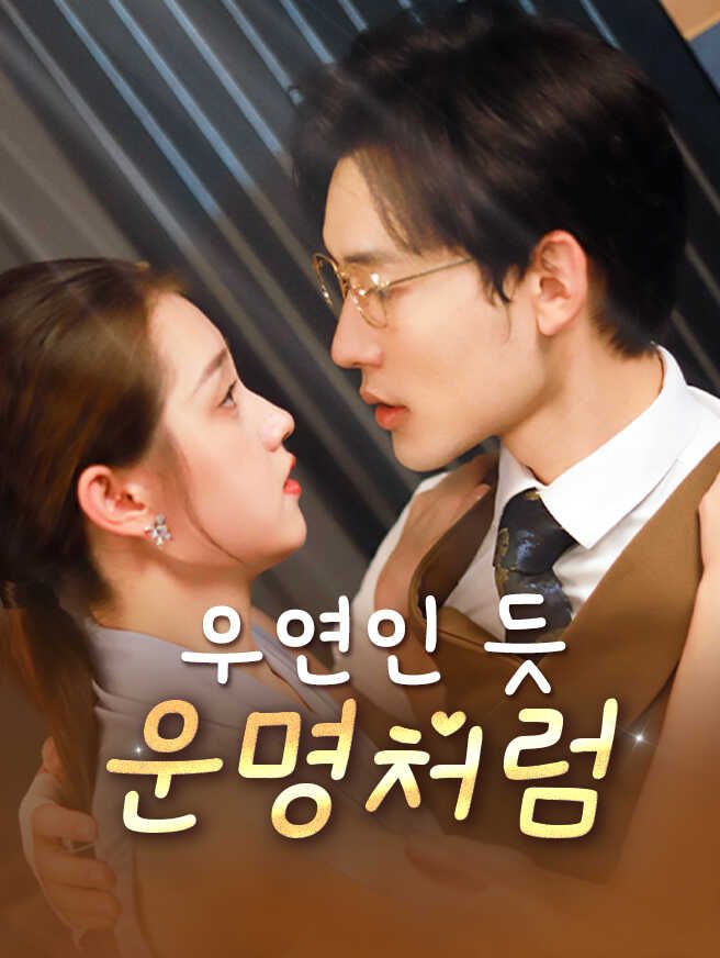 Poster 우연인 듯 운명처럼