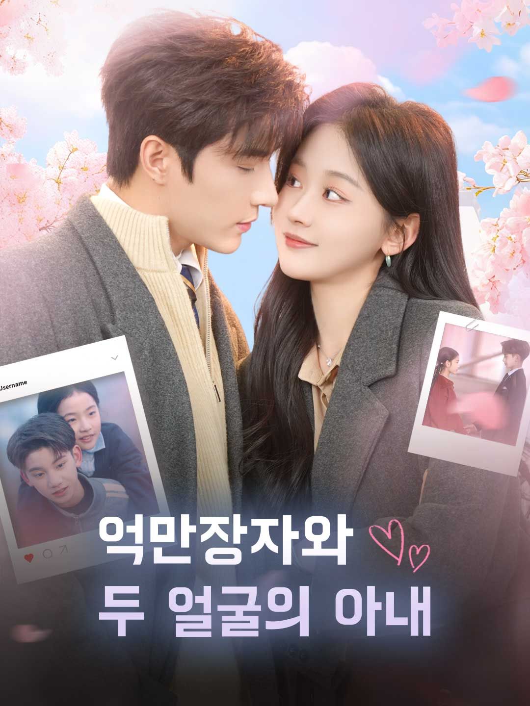 Poster 억만장자와 두 얼굴의 아내