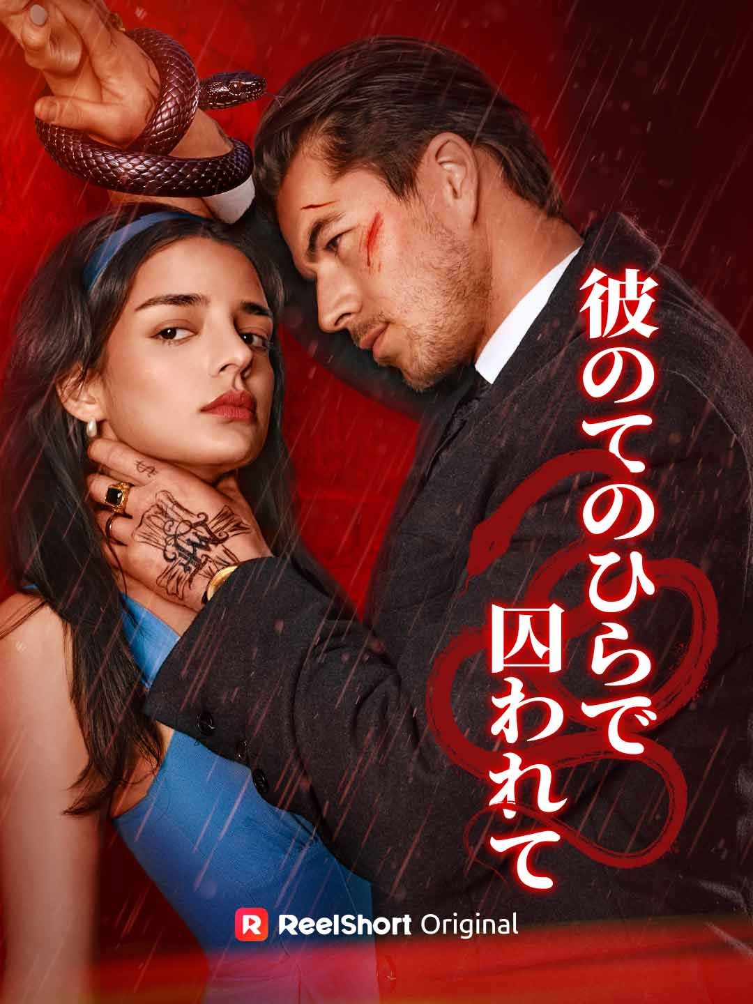 Poster [吹き替え]彼のてのひらで囚われて