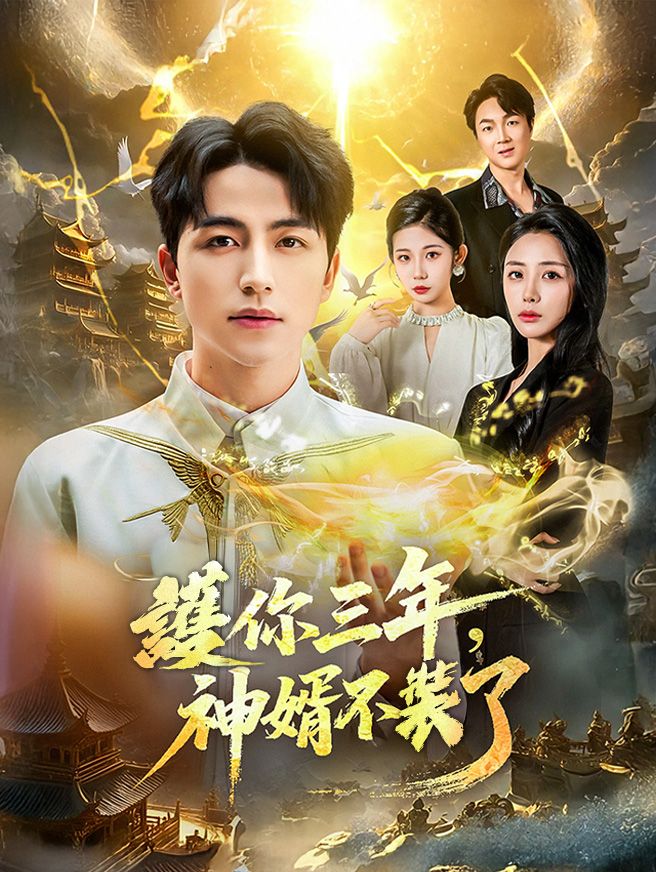 Poster 護你三年，神婿不裝了
