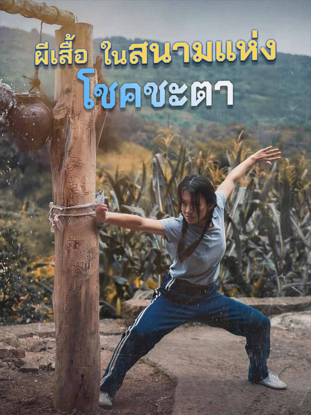 Poster ผีเสื้อในสนามแห่งโชคชะตา