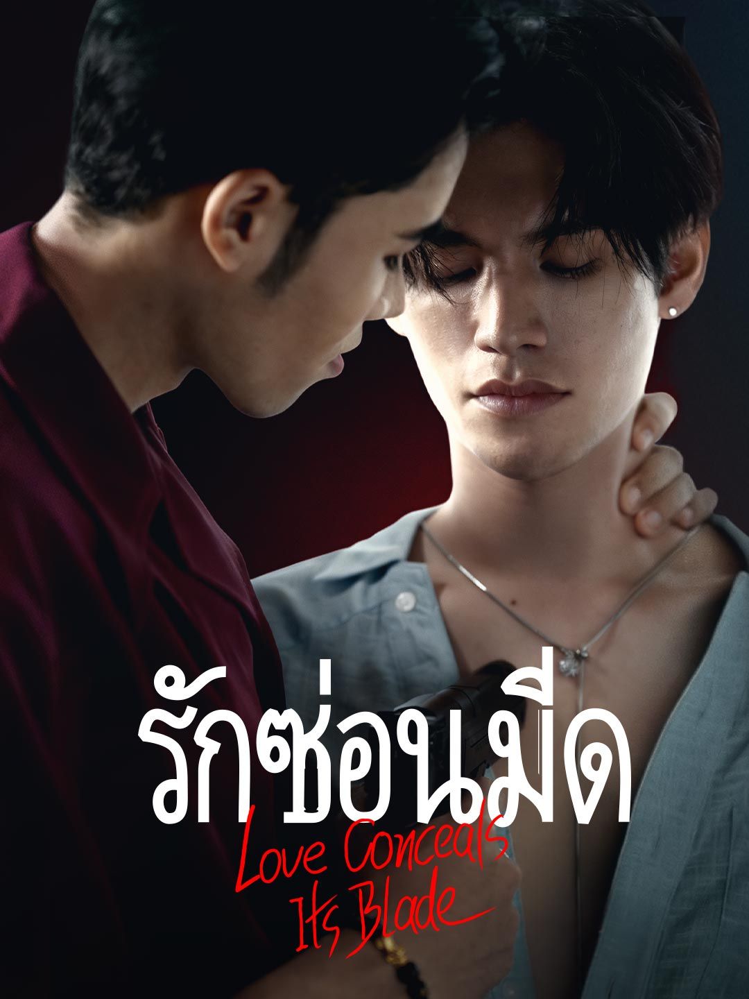 Poster รักซ่อนมีด