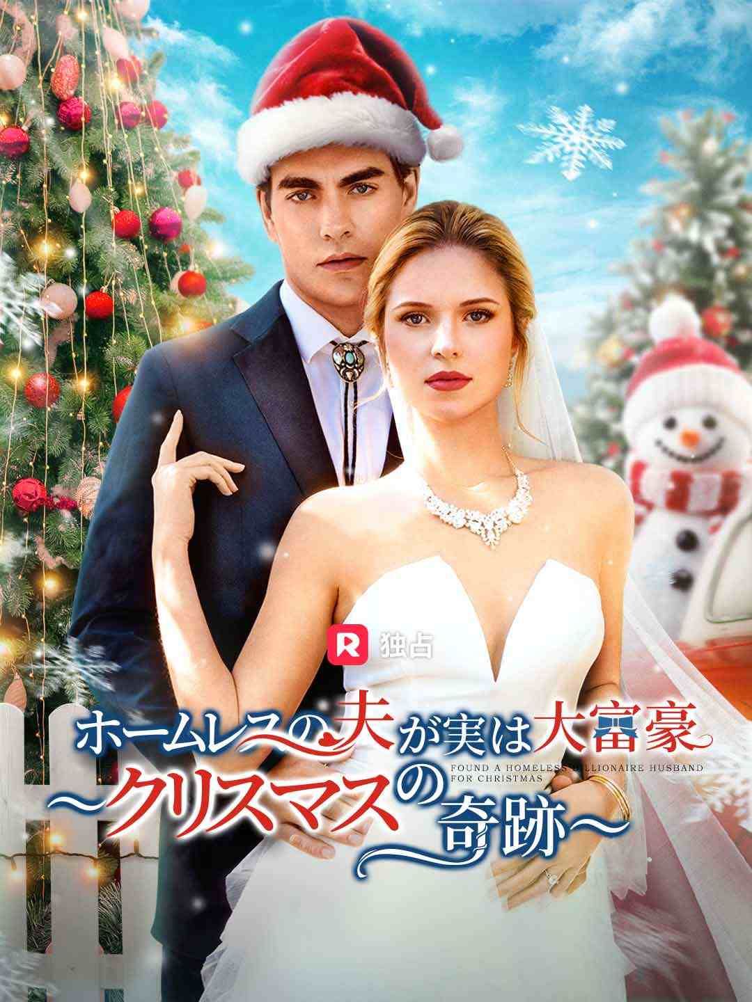 Poster ホームレスの夫が実は大富豪 ～クリスマスの奇跡～
