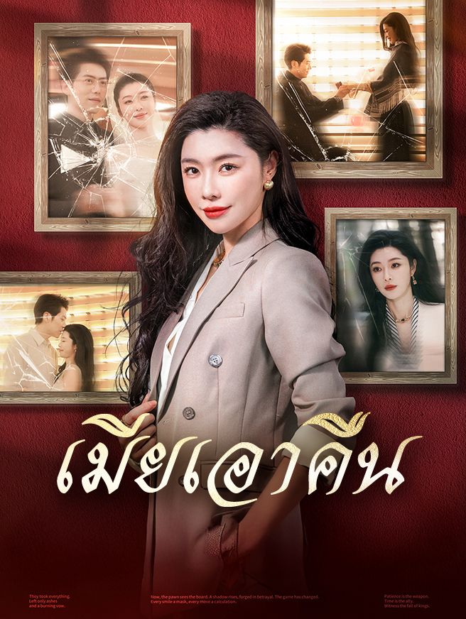 Poster เมียเอาคืน