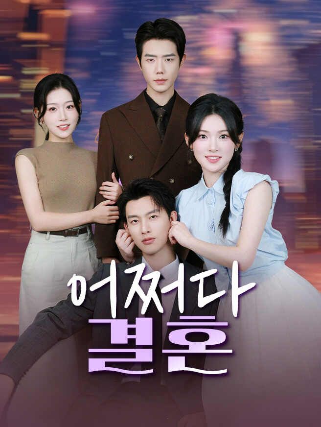 Poster 어쩌다 결혼