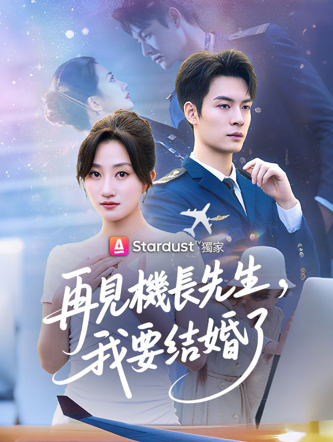 Poster 再見機長先生，我要結婚了