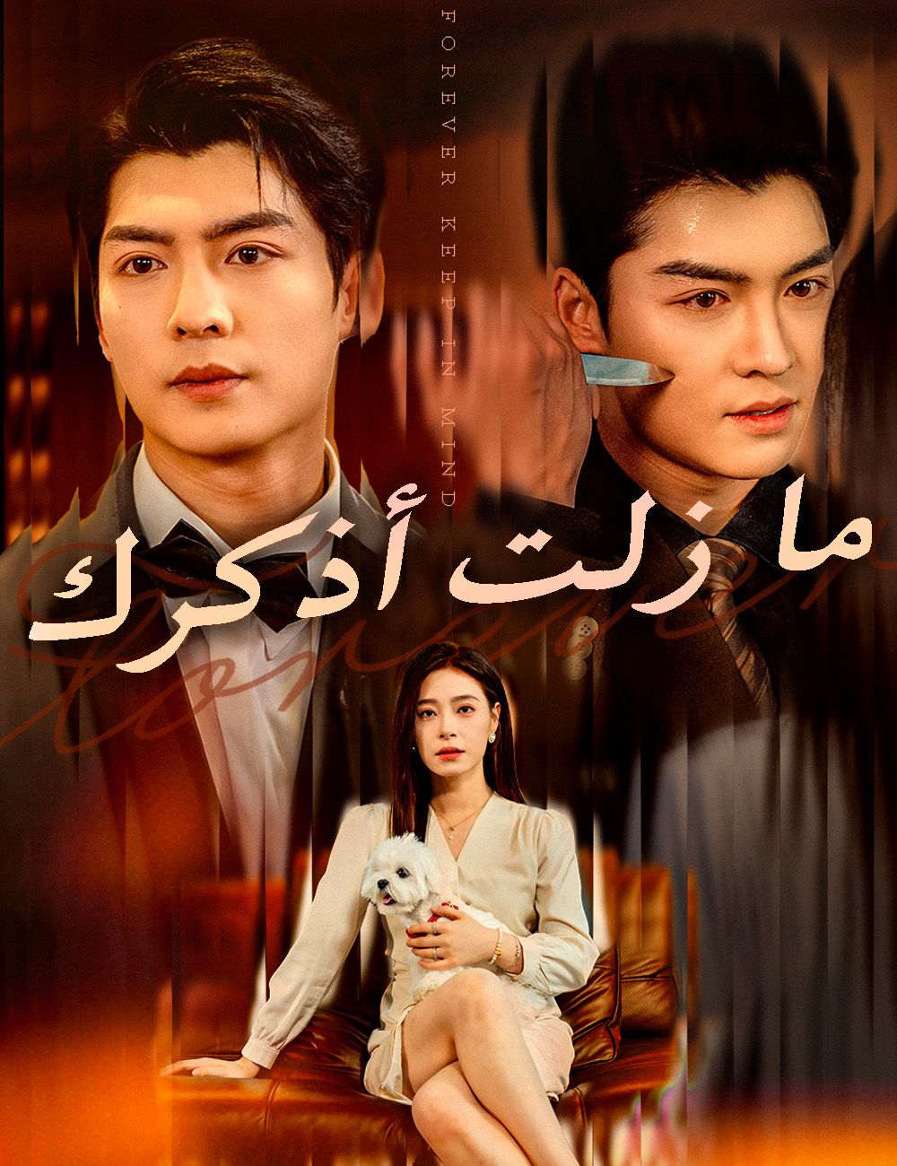 Poster ما زلت أذكرك