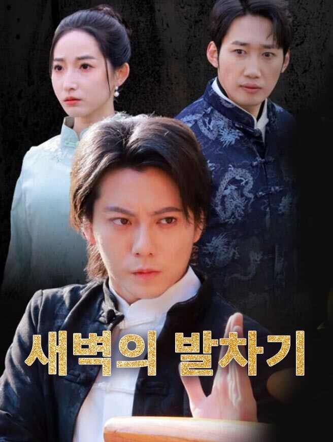 Poster 새벽의 발차기