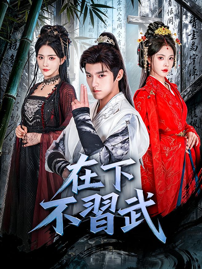 Poster 在下不習武