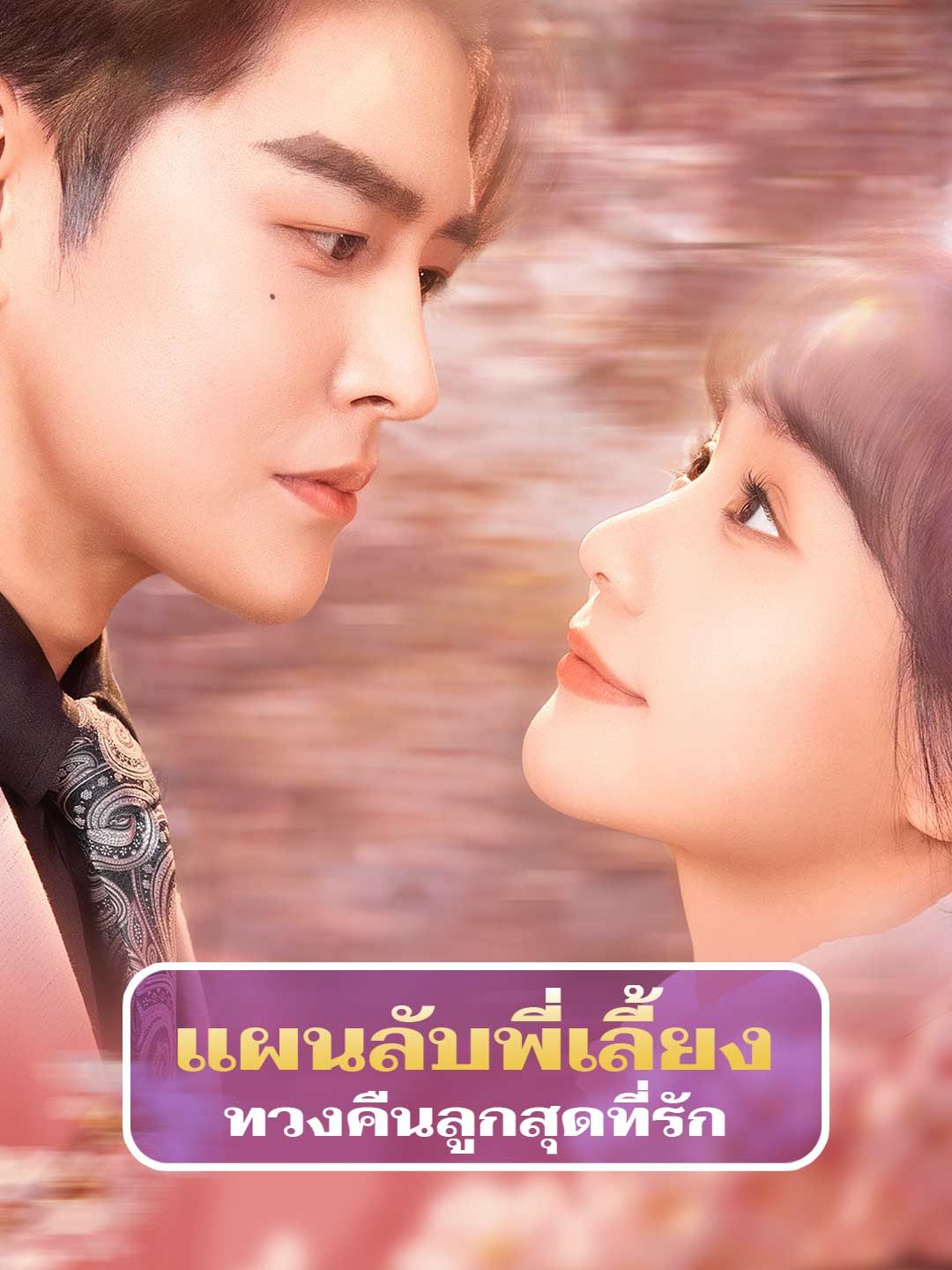 Poster แผนลับพี่เลี้ยง ทวงคืนลูกสุดที่รัก