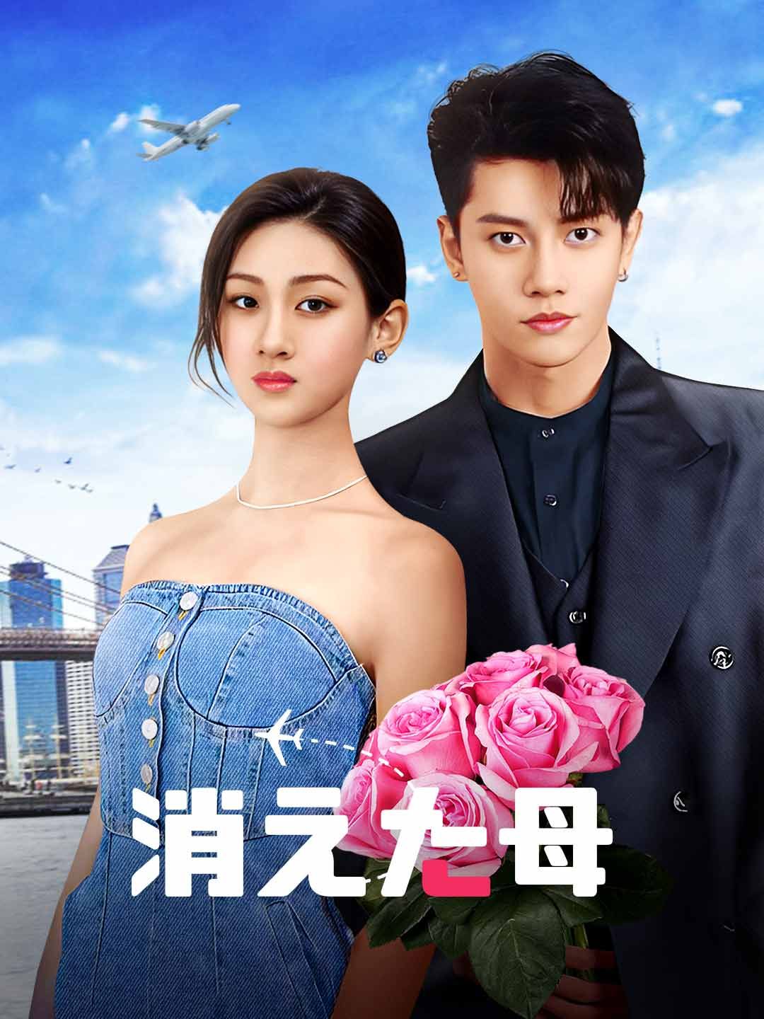 Poster 消えた母