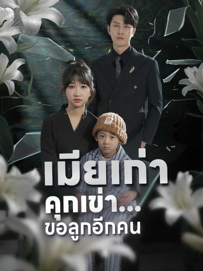 Poster เมียเก่าคุกเข่า...ขอลูกอีกคน