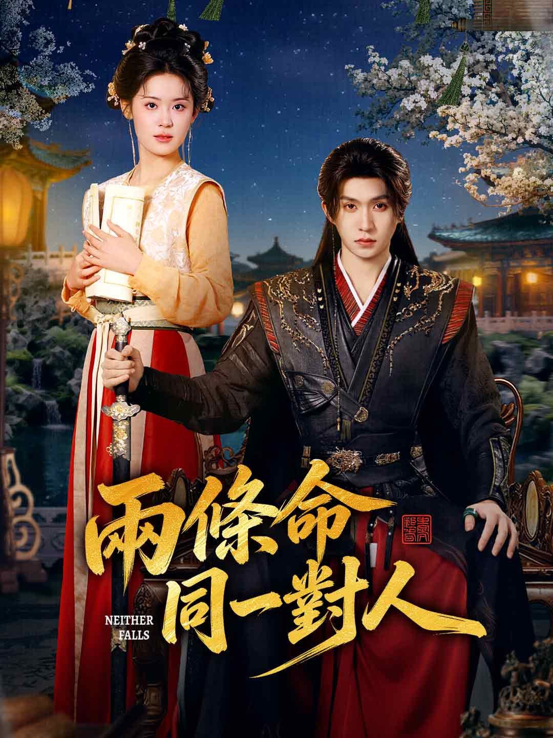 Poster 兩條命同一對人