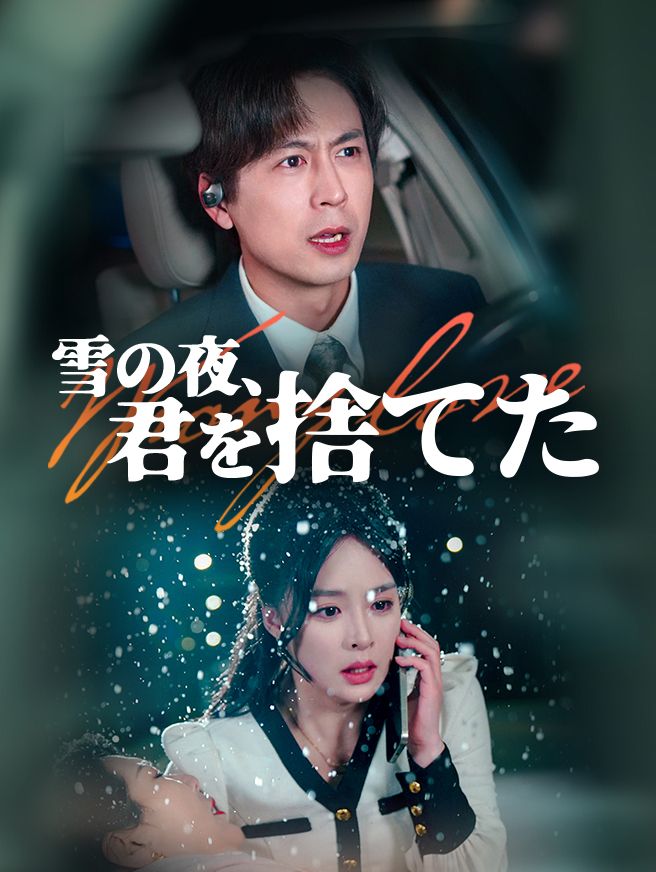 Poster 雪の夜、君を捨てた