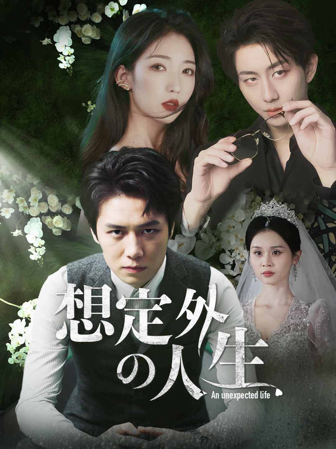 Poster ［吹き替え版］想定外の人生