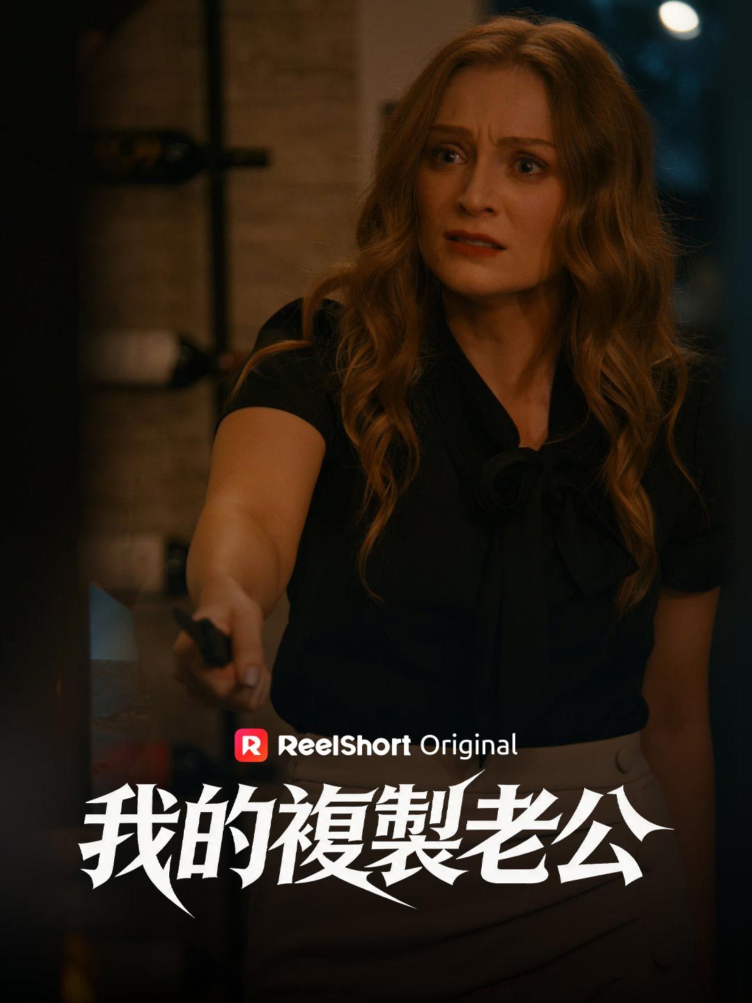 Poster 我的複製老公