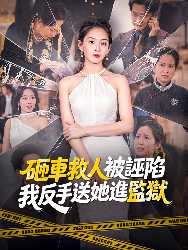 Poster 砸車救人被誣陷，我反手送她進監獄
