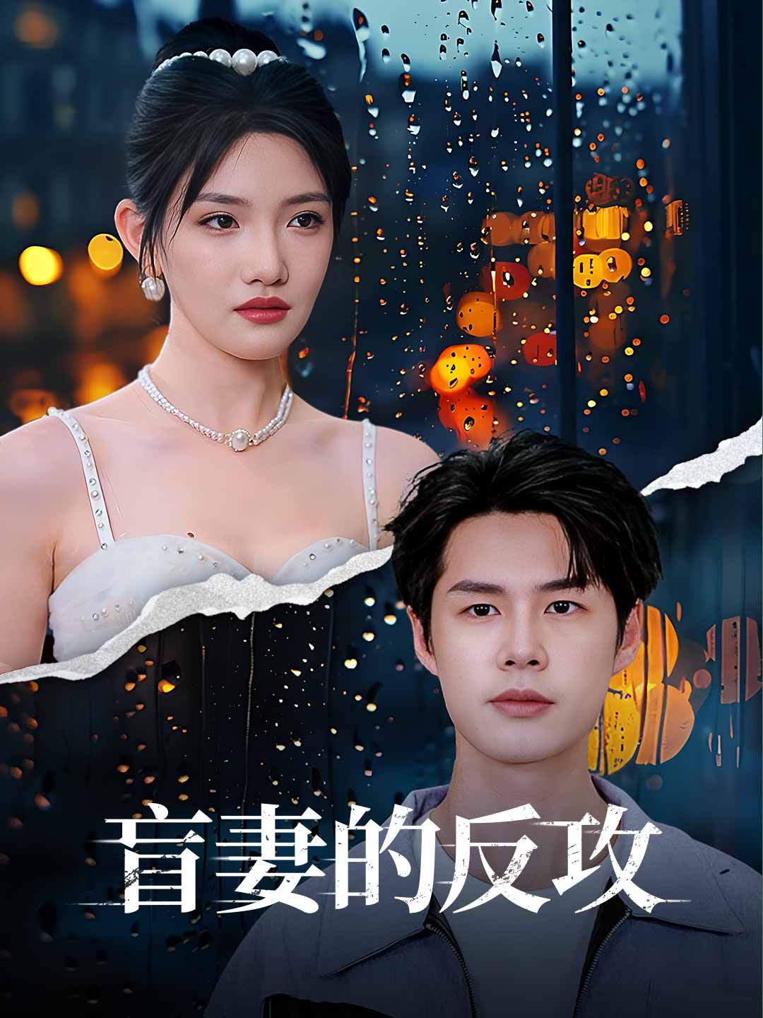 Poster 盲妻的反攻