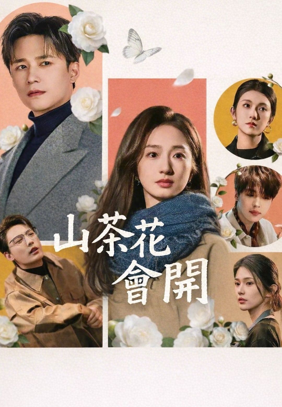 Poster 山茶花會開