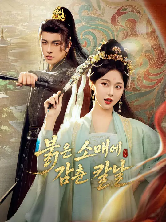 Poster 붉은 소매에 감춘 칼날