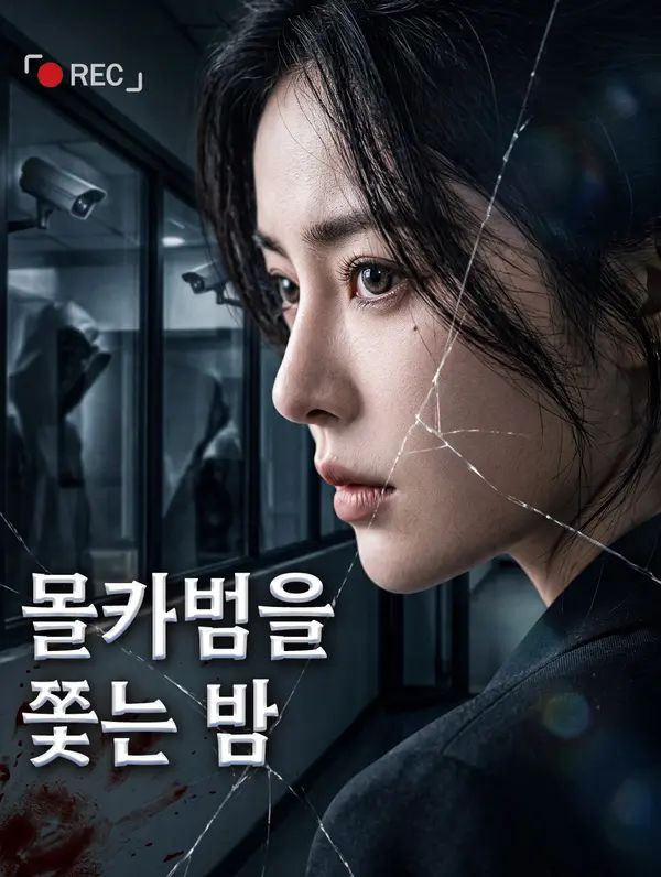 Poster 몰카범을 쫓는 밤
