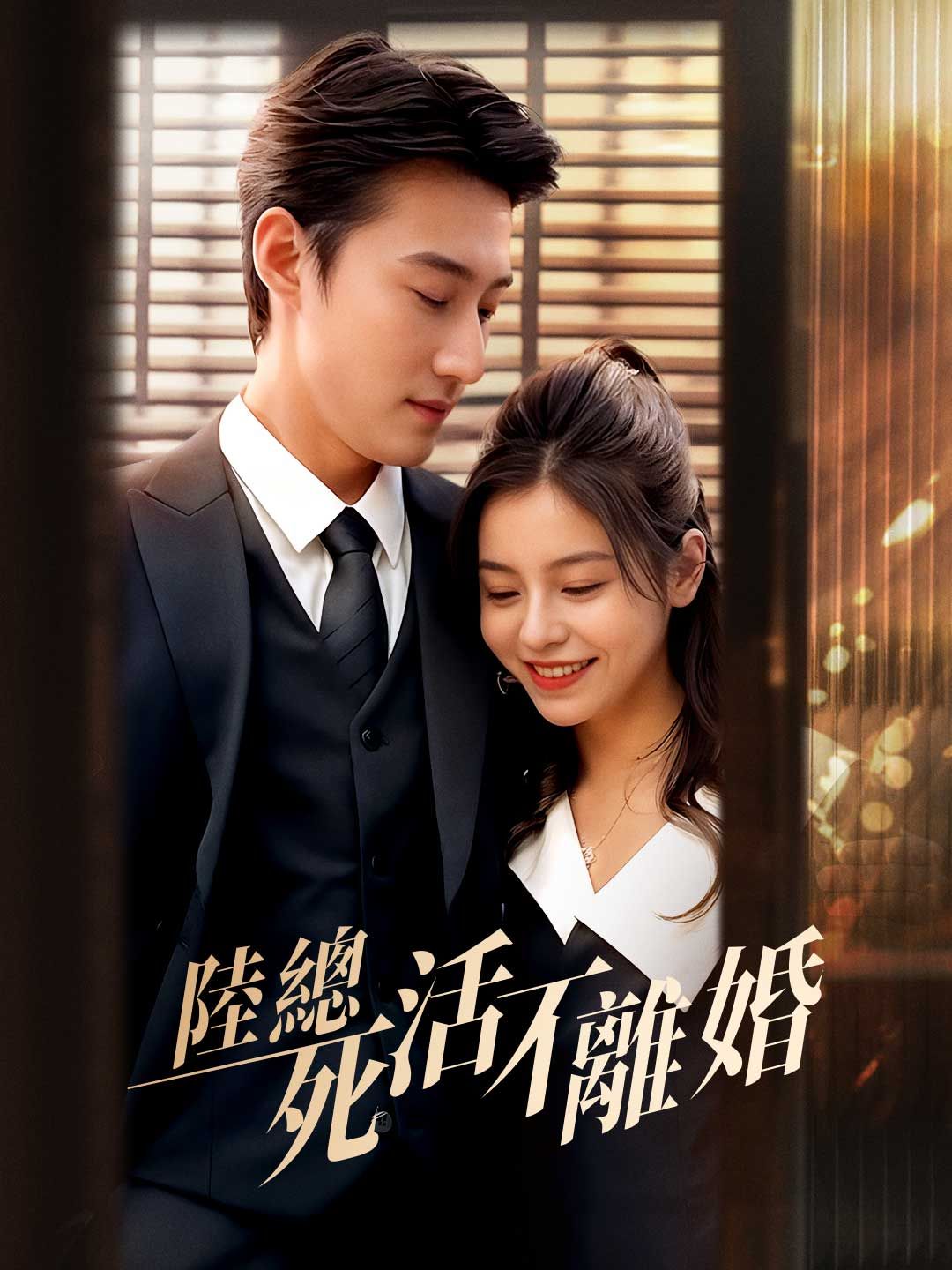 Poster 陸總死活不離婚