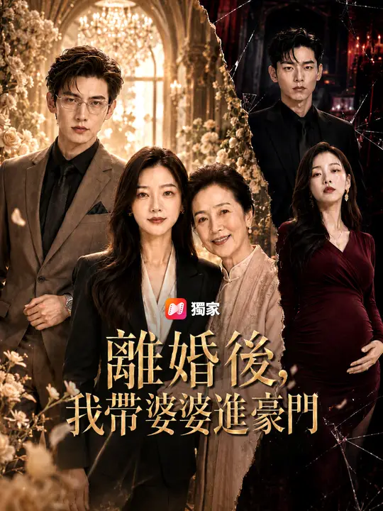 Poster 離婚後，我帶婆婆進豪門