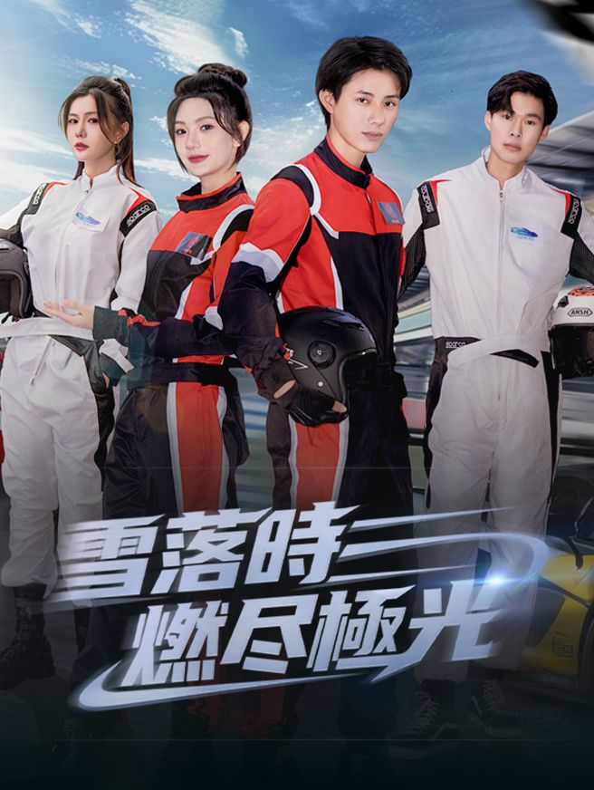 Poster 雪落時燃尽極光