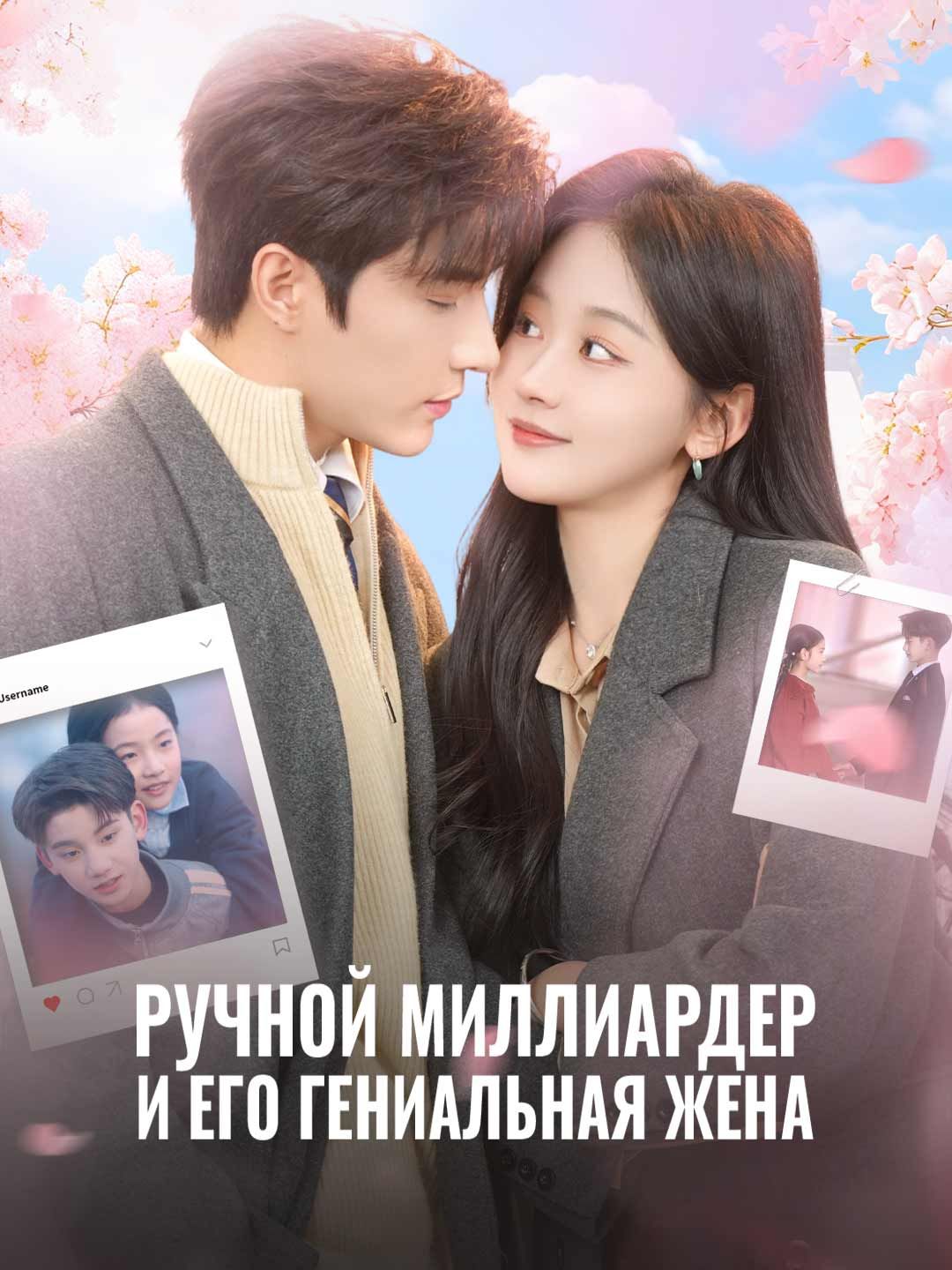 Ручной миллиардер и его гениальная жена