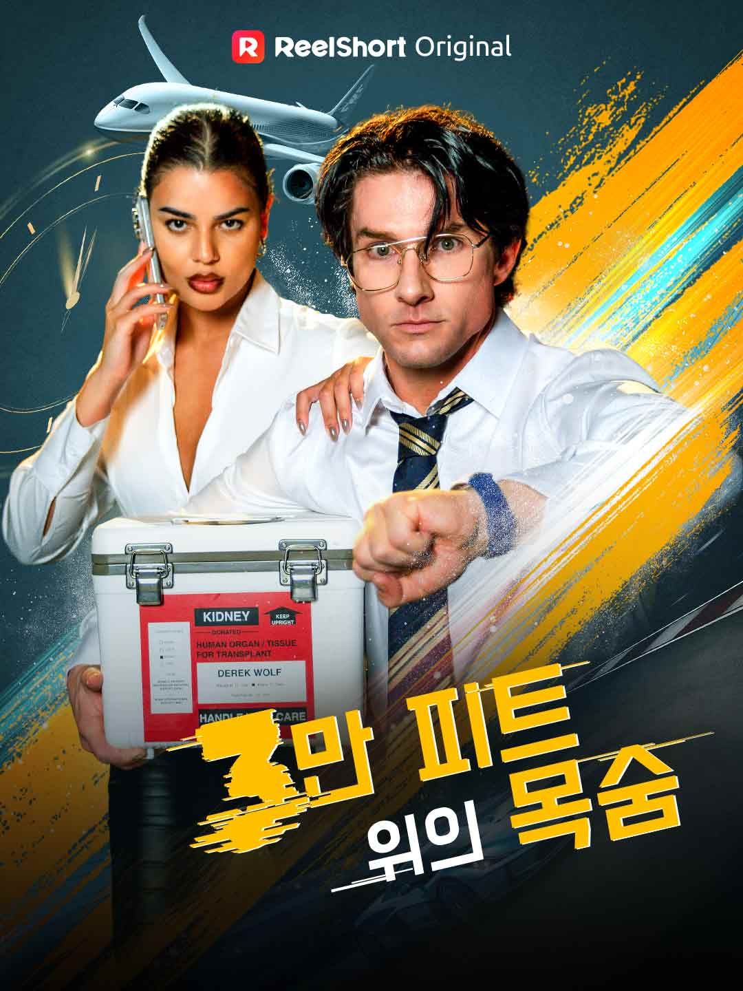 Poster 3만 피트 위의 목숨