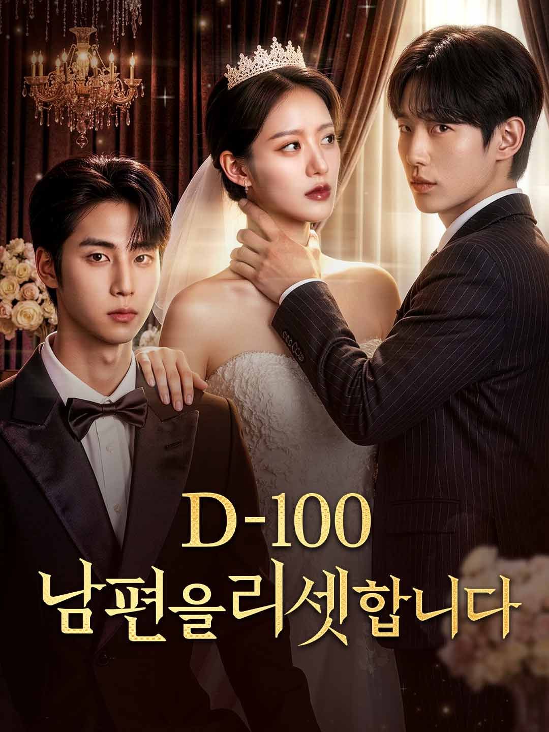 Poster D-100: 남편을 리셋합니다