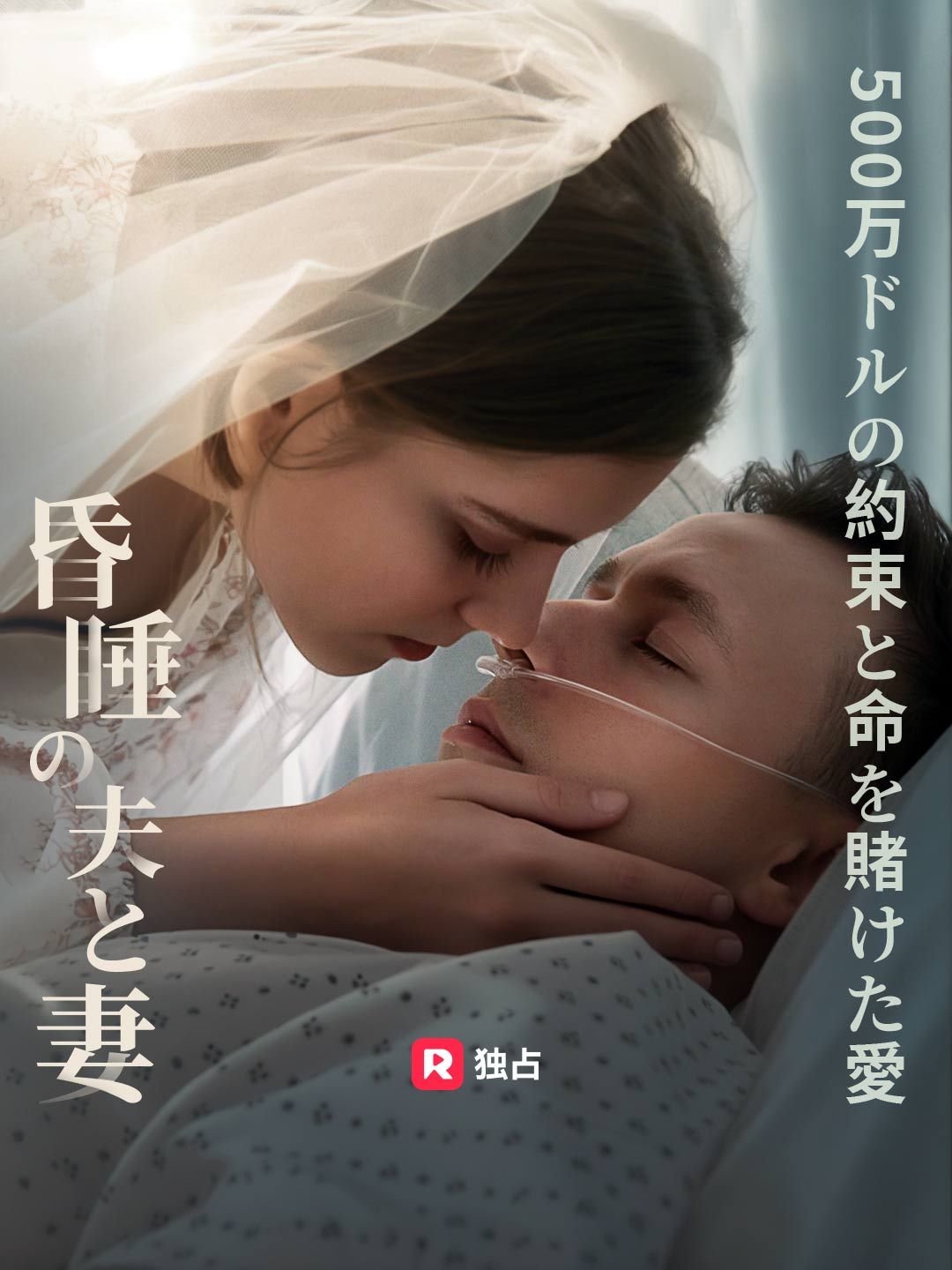 Poster 昏睡の夫と妻、 500万ドルの約束と命を賭けた愛