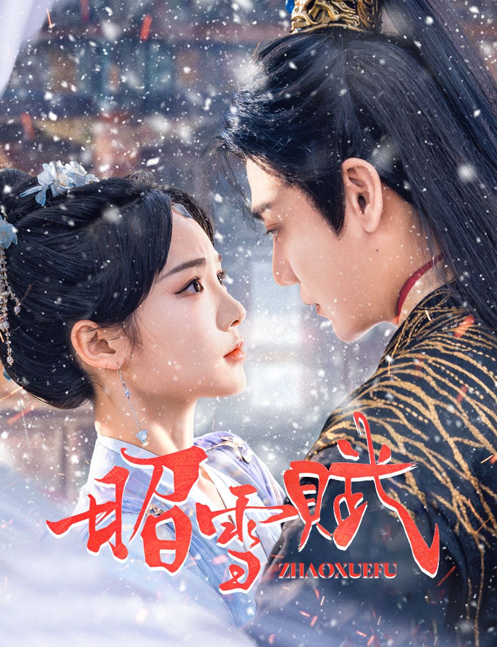 Poster 昭雪賦