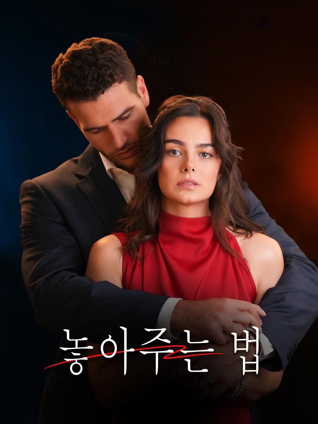 Poster 놓아주는 법