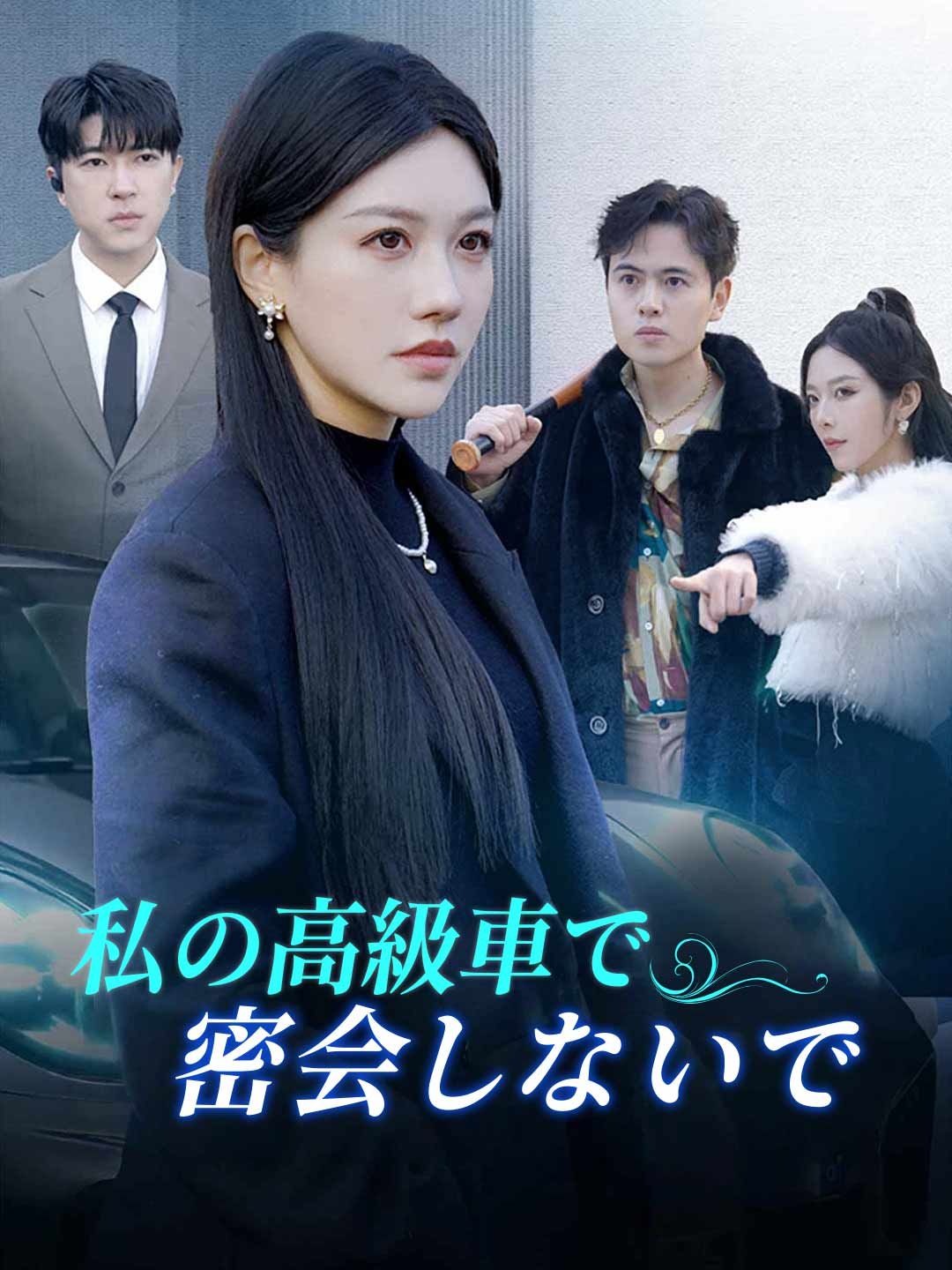 Poster 私の高級車で密会しないで