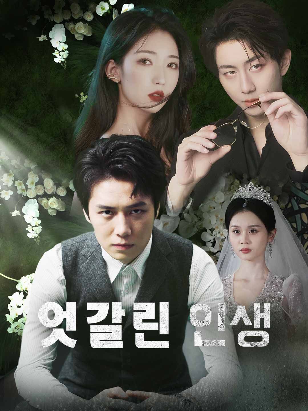 Poster 엇갈린 인생