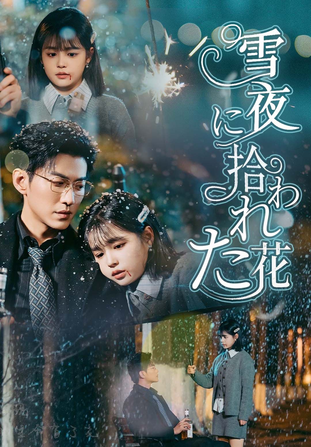 Poster （吹替）雪夜に拾われた花