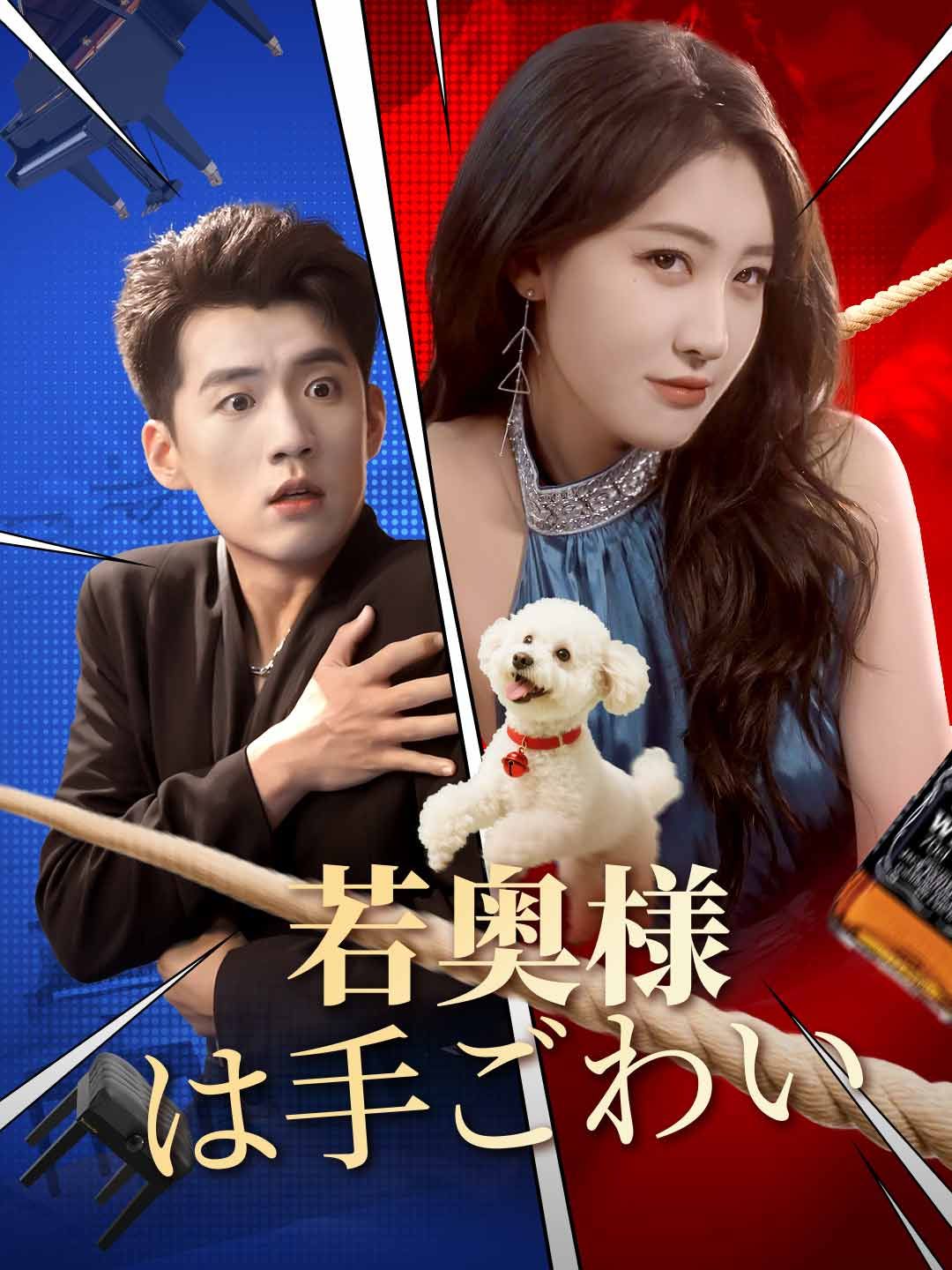 Poster 若奥様は手ごわい