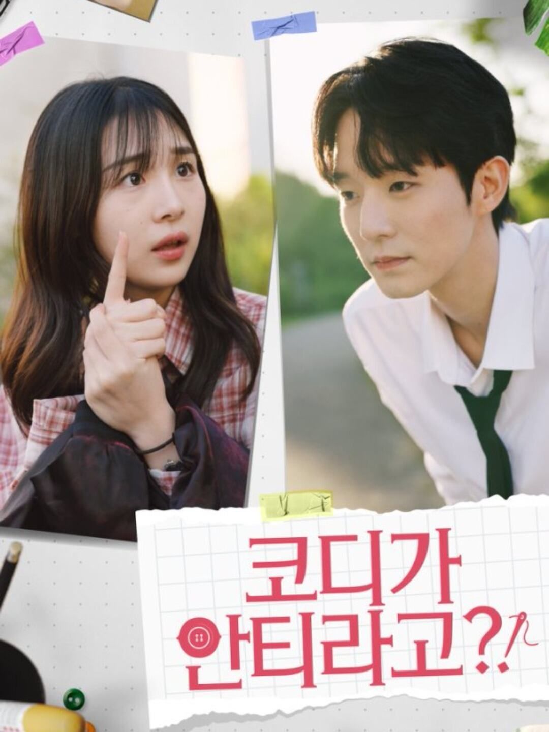 Poster 코디가 안티라고