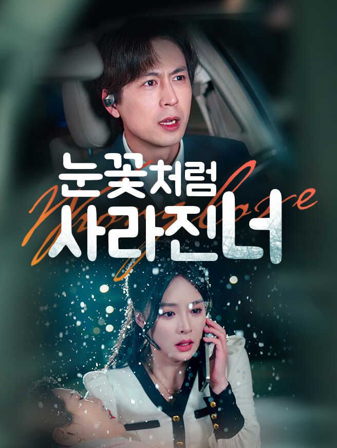 Poster 눈꽃처럼 사라진 너