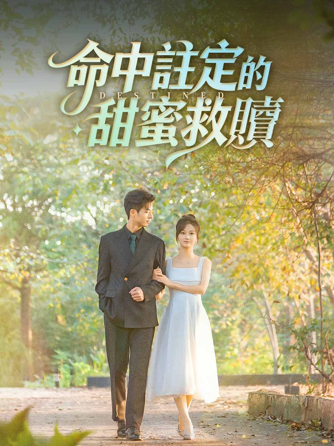 Poster 命中註定的甜蜜救贖